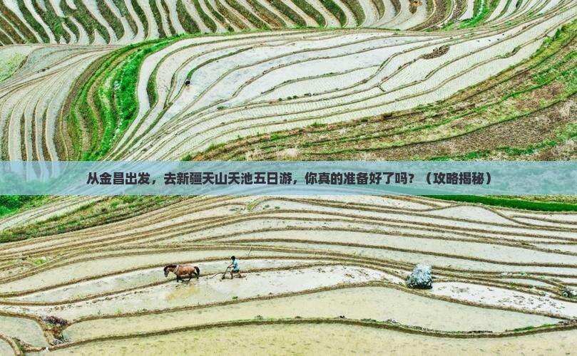 金昌去新疆天山天池五日游