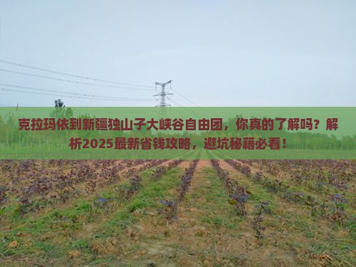 克拉玛依到新疆独山子大峡谷自由团