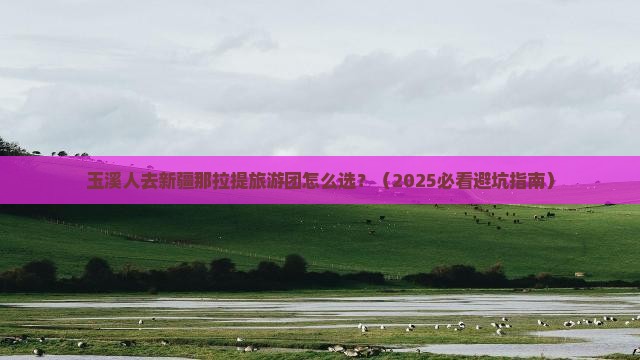 玉溪去新疆那拉提大型旅游团
