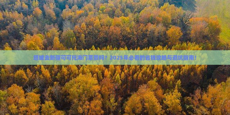 塔城去新疆可可托海门票