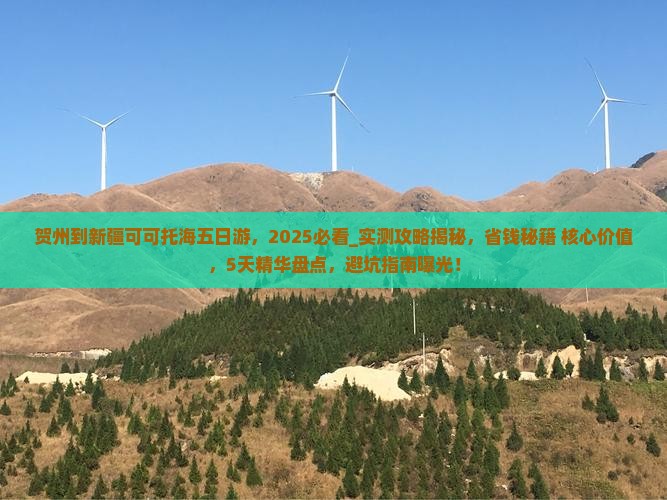 贺州到新疆可可托海五日游