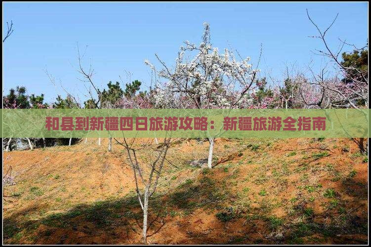 和县到新疆四日游