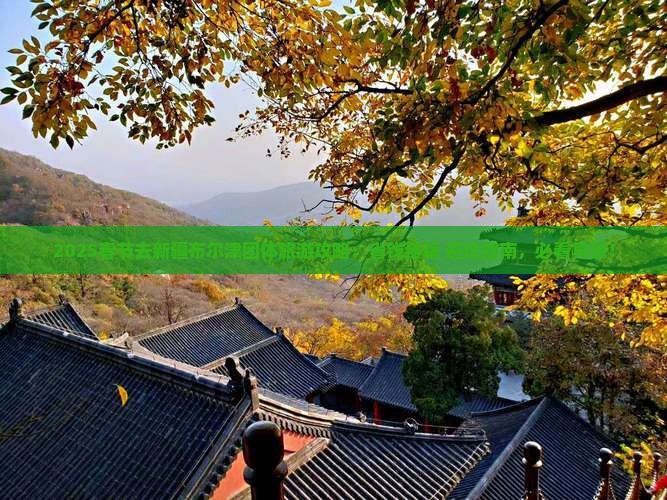 春节去新疆布尔津团体旅游