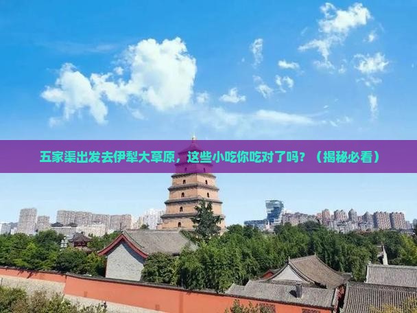 五家渠到新疆伊犁大草原旅游小吃