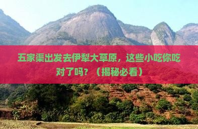 五家渠到新疆伊犁大草原旅游小吃