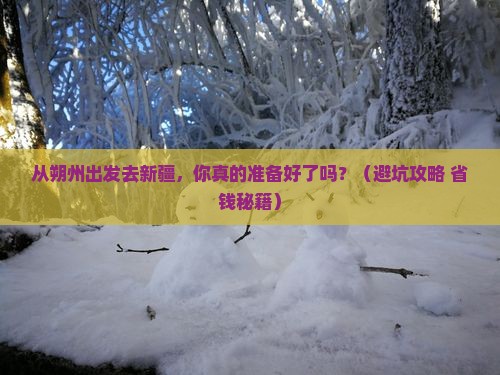 朔州去新疆个人游