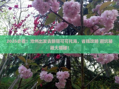 沧州到新疆可可托海旅行社