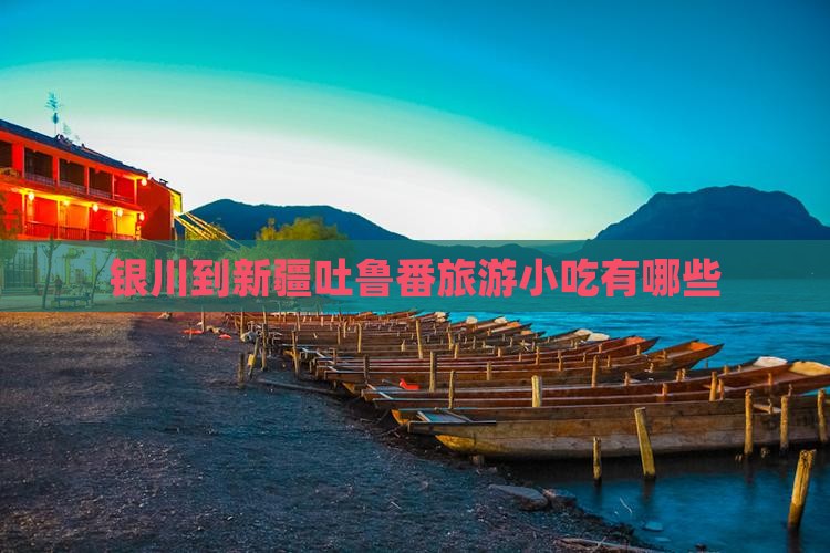 银川到新疆吐鲁番旅游小吃
