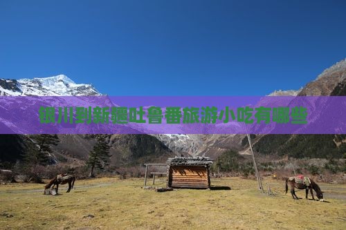 银川到新疆吐鲁番旅游小吃