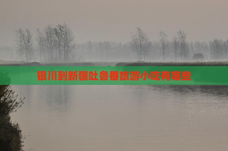 银川到新疆吐鲁番旅游小吃