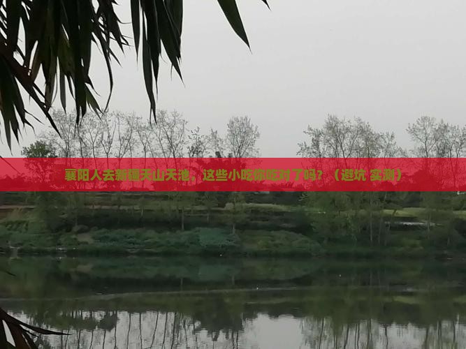 襄阳去新疆天山天池旅游小吃