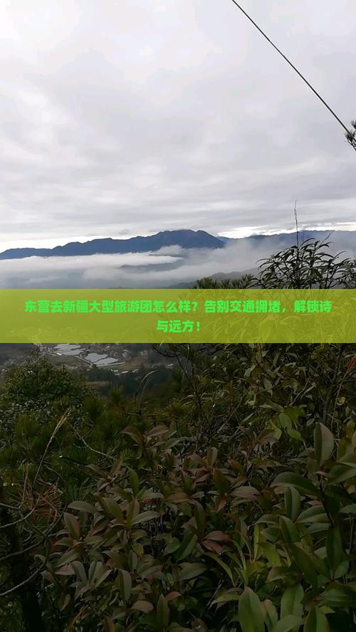 东营去新疆大型旅游团