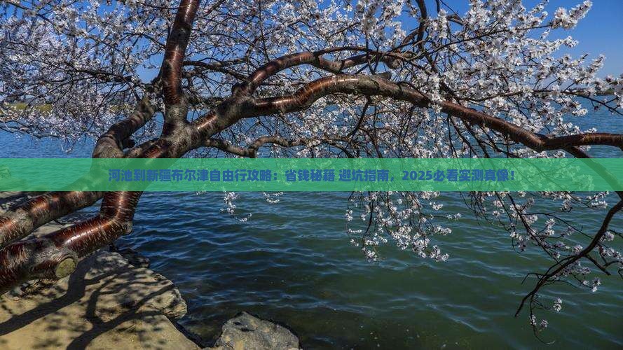河池到新疆布尔津自由行