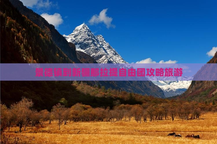 景德镇到新疆那拉提自由团
