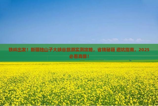铁岭到新疆独山子大峡谷旅游