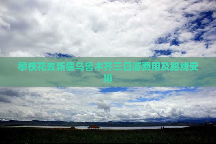 攀枝花去新疆乌鲁木齐三日游