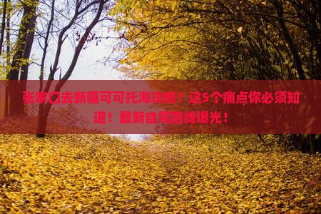 张家口去新疆可可托海攻略