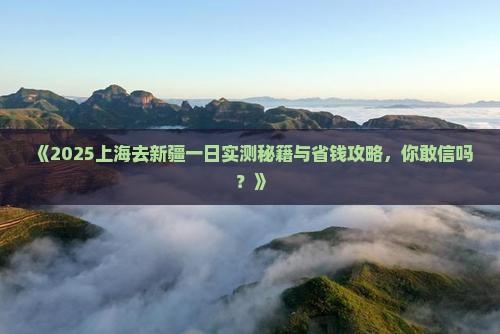 上海去新疆一日