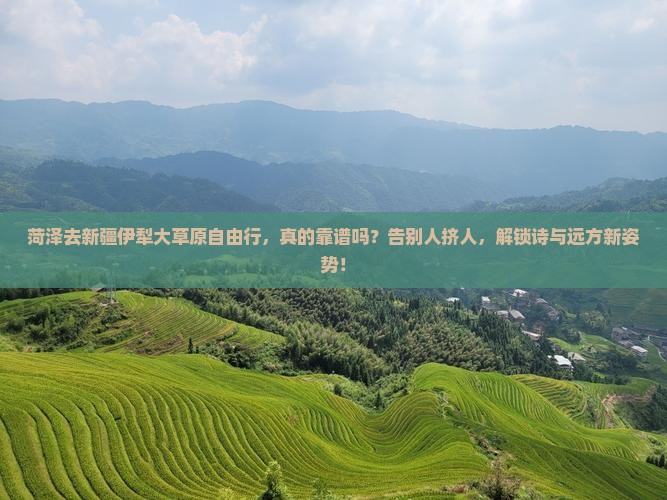 菏泽去新疆伊犁大草原自由行