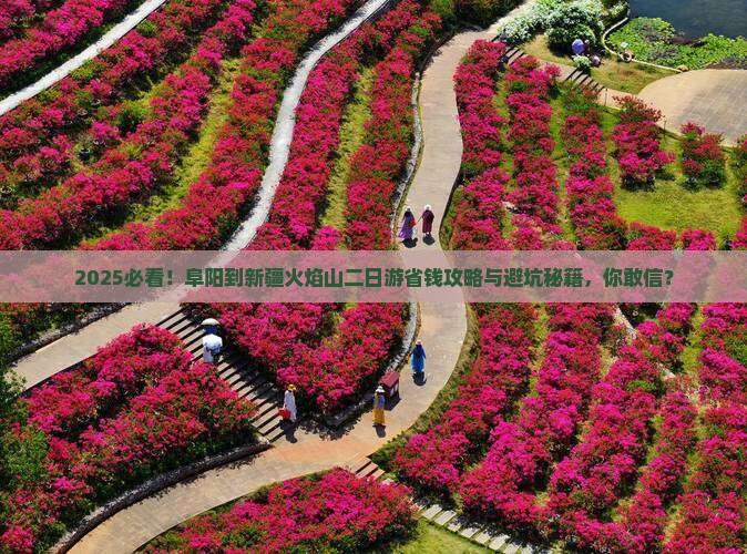 阜阳到新疆火焰山二日游
