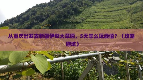 重庆到新疆伊犁大草原自由行