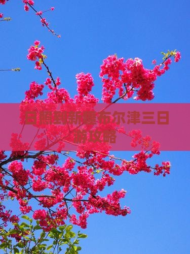 日照到新疆布尔津三日游