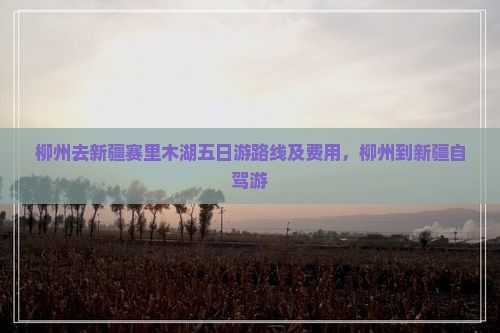 柳州去新疆赛里木湖五日游