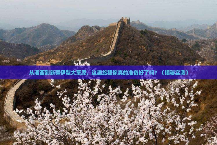 湘西到新疆伊犁大草原旅行社
