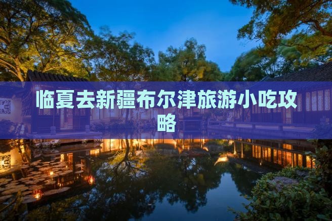 临夏去新疆布尔津旅游小吃