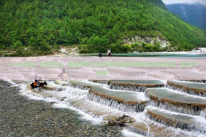 汕尾去新疆伊犁大草原大型旅游团