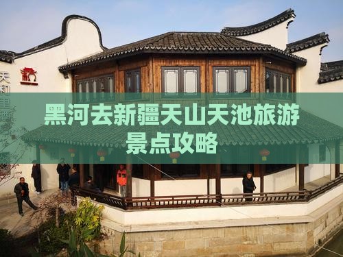 黑河去新疆天山天池旅行社