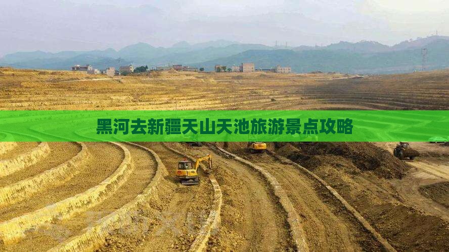 黑河去新疆天山天池旅行社