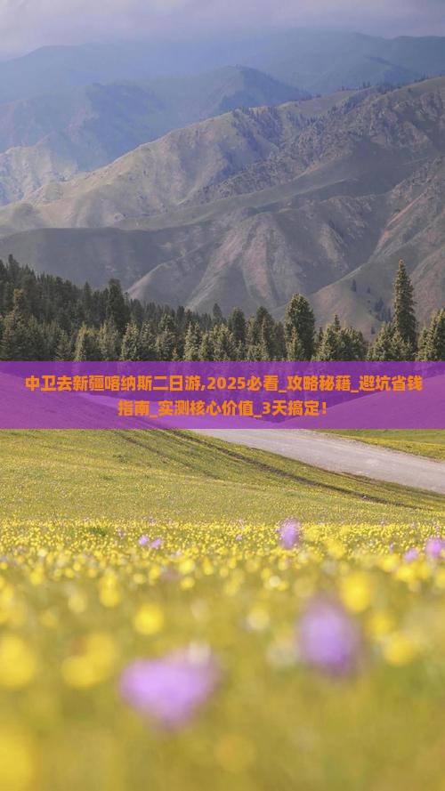 中卫去新疆喀纳斯二日游