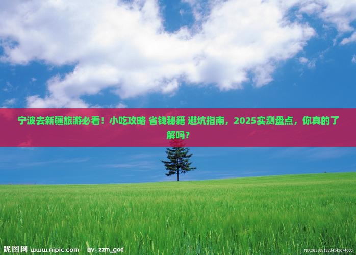 宁波去新疆旅游小吃