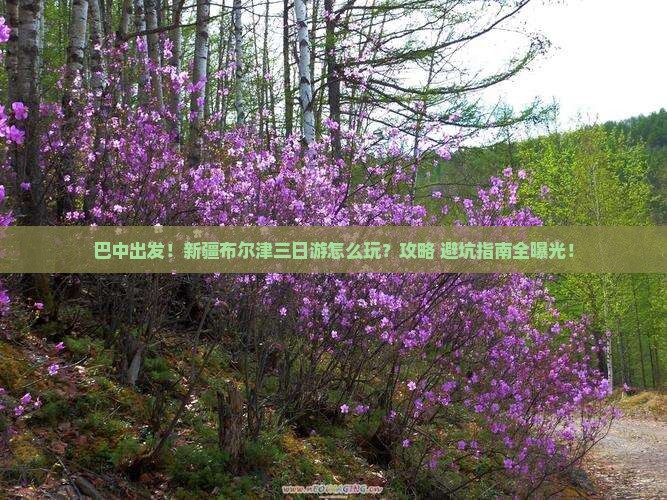 巴中去新疆布尔津三日游