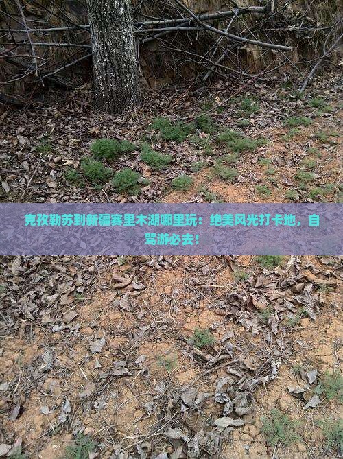 克孜勒苏到新疆赛里木湖哪里玩