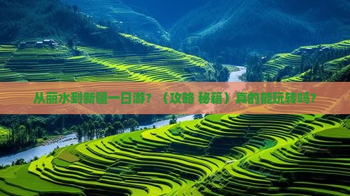 丽水去新疆一日