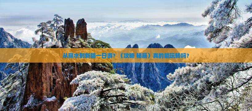 丽水去新疆一日