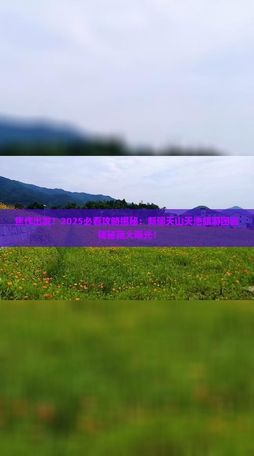焦作到新疆天山天池大型旅游团