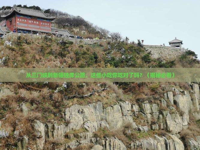 三门峡到新疆独库公路旅游小吃