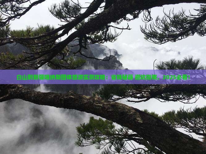 白山到新疆喀纳斯团体旅游