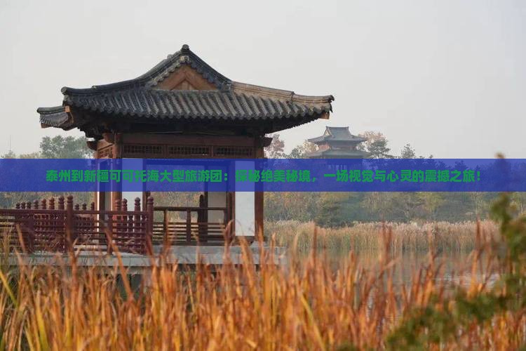 泰州到新疆可可托海大型旅游团