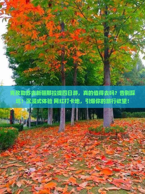 克孜勒苏去新疆那拉提四日游