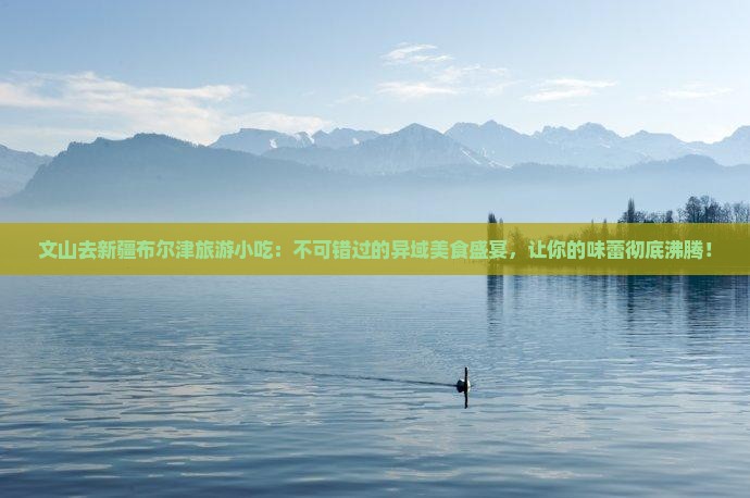 文山去新疆布尔津旅游小吃