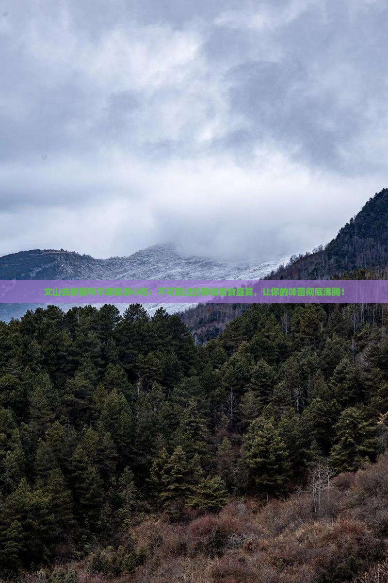 文山去新疆布尔津旅游小吃