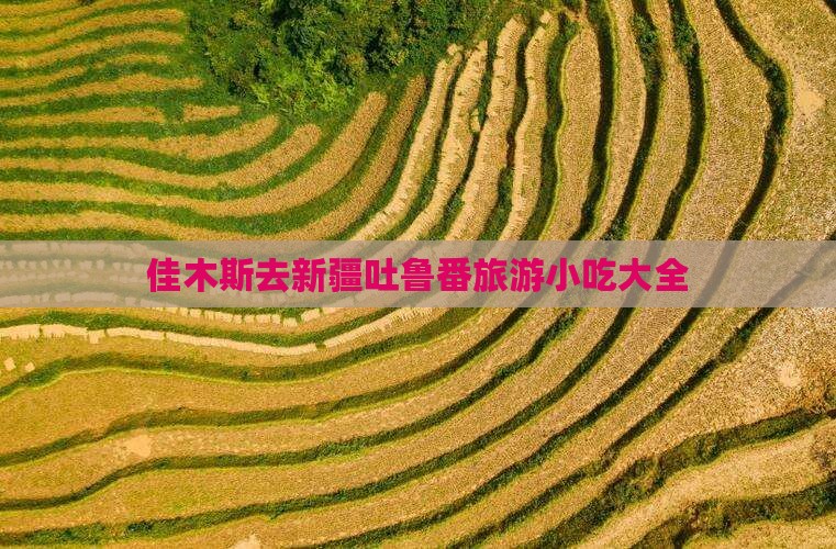 佳木斯去新疆吐鲁番旅游小吃