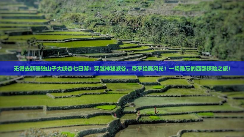 无锡去新疆独山子大峡谷七日游