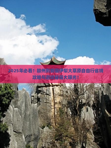 赣州到新疆伊犁大草原自由行