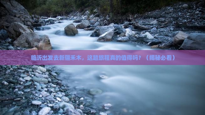 临沂去新疆禾木旅行社