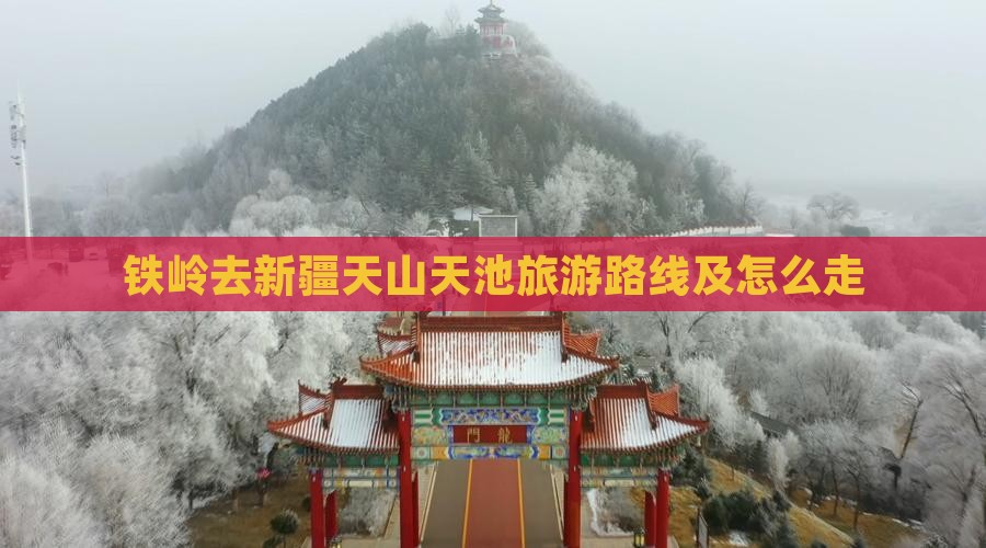 铁岭去新疆天山天池旅游